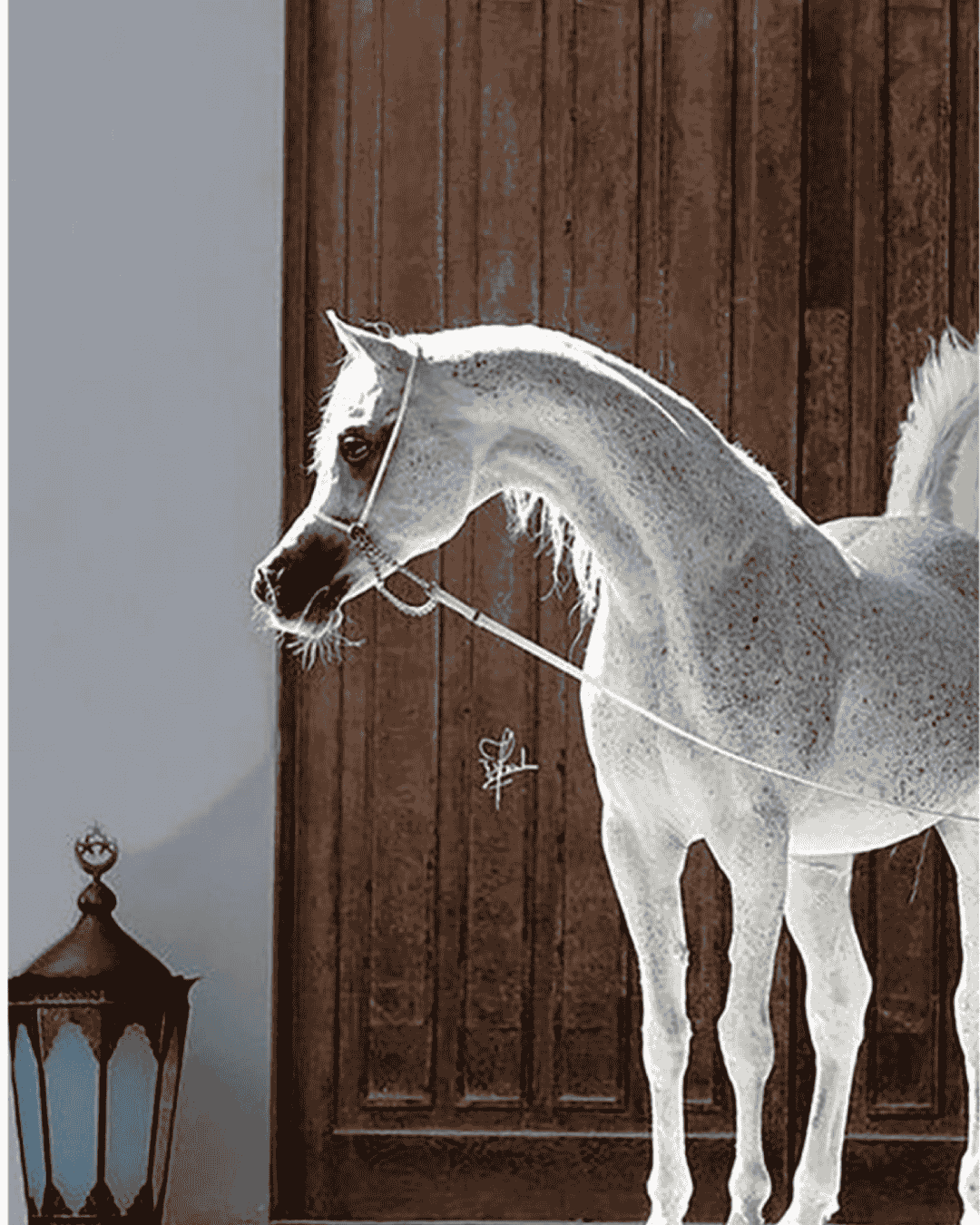 Nº 3 Inspired by | Arabians Tonka from Montale - PERFUMMY.