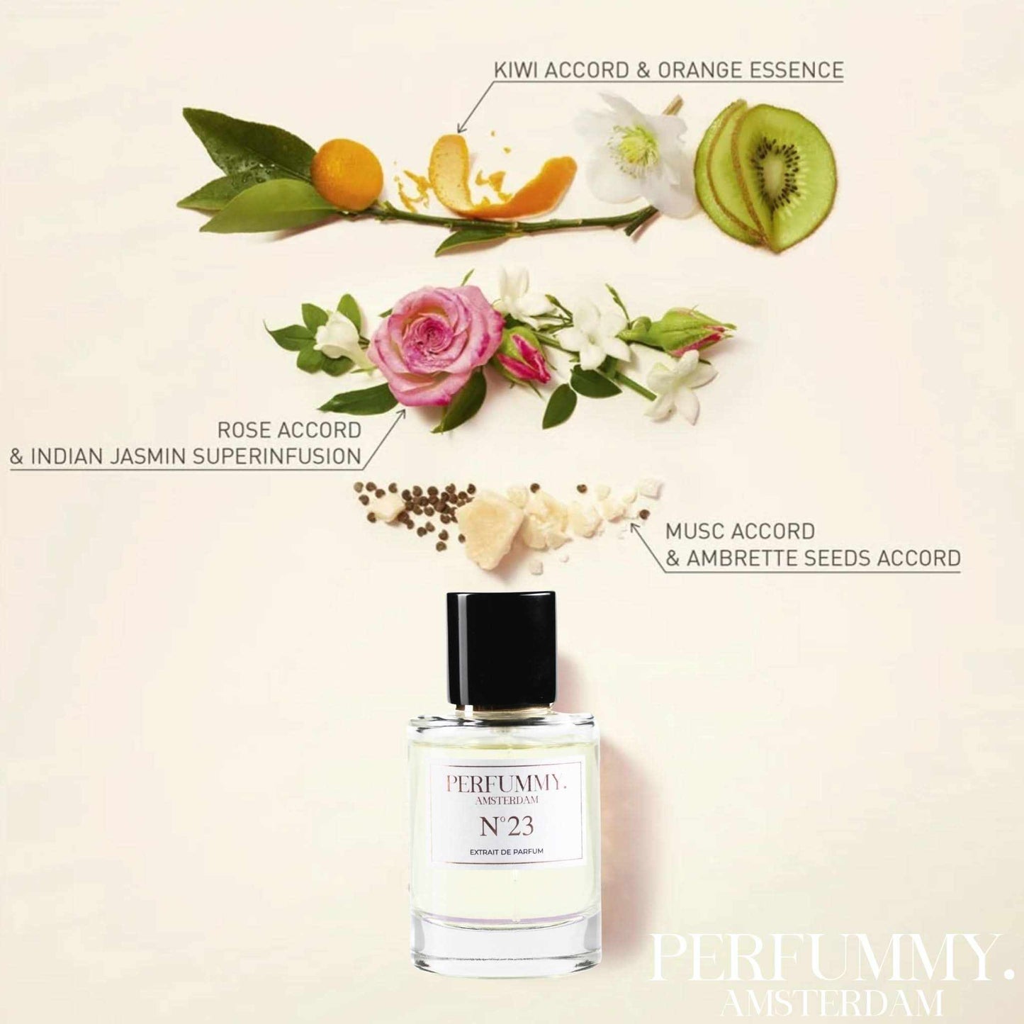 Nº 23 Roman Rebel - PERFUMMY.