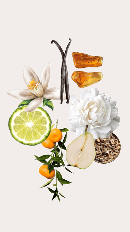 Nº 51 Inspired by | INSTANT CRUSH from MANCERA - PERFUMMY.